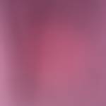 Casaljovem24 Profile Picture